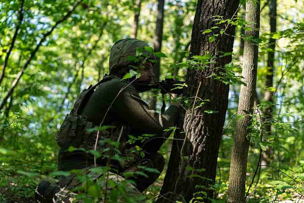 Zelensky says Ukraine retook more territory than Russia captured this fall