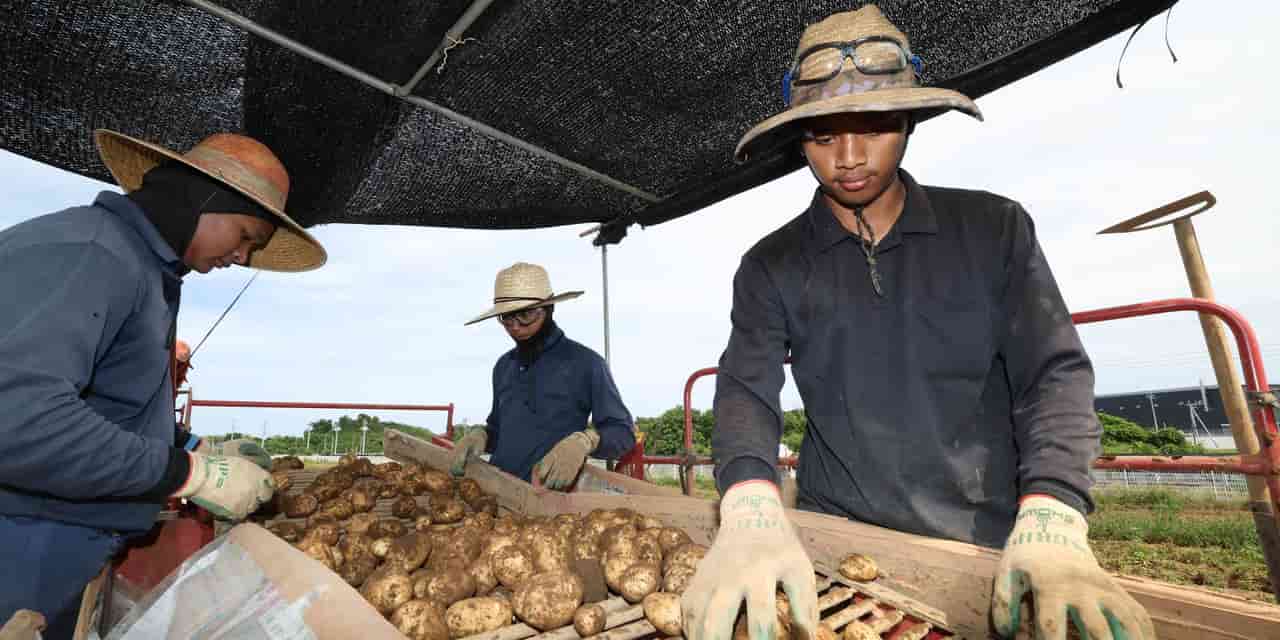 Japan prefecture offers cash rewards for reporting illegal foreign workers