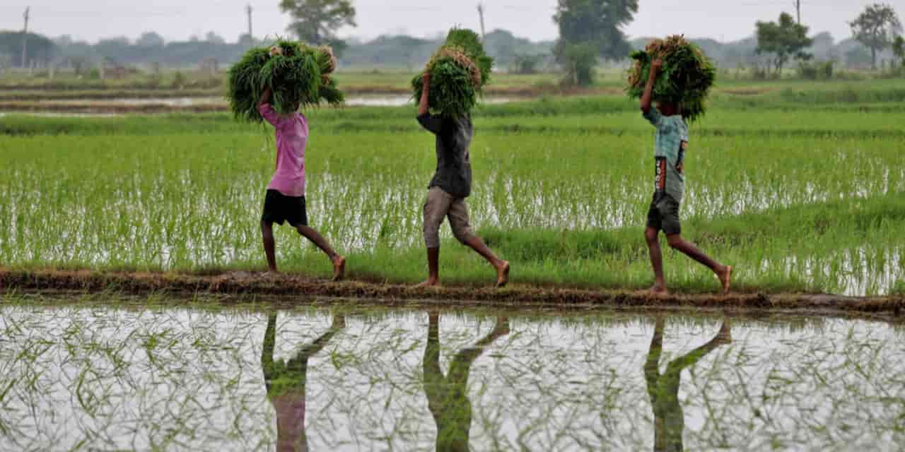 Japan plans up to $94 million in agriculture bonds for developing nations