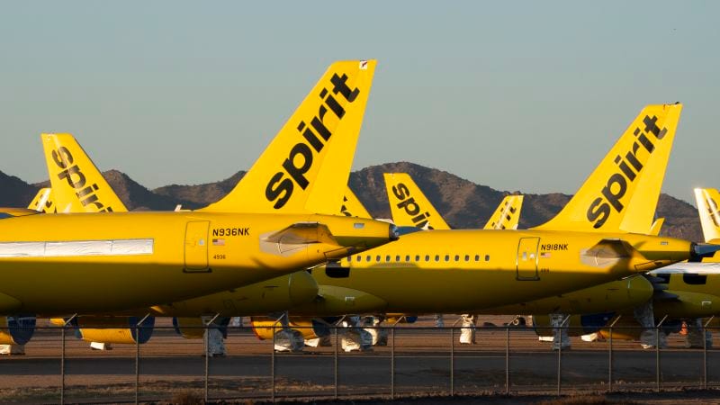 US lawmakers question Google's $10M bid for Spirit Airlines data