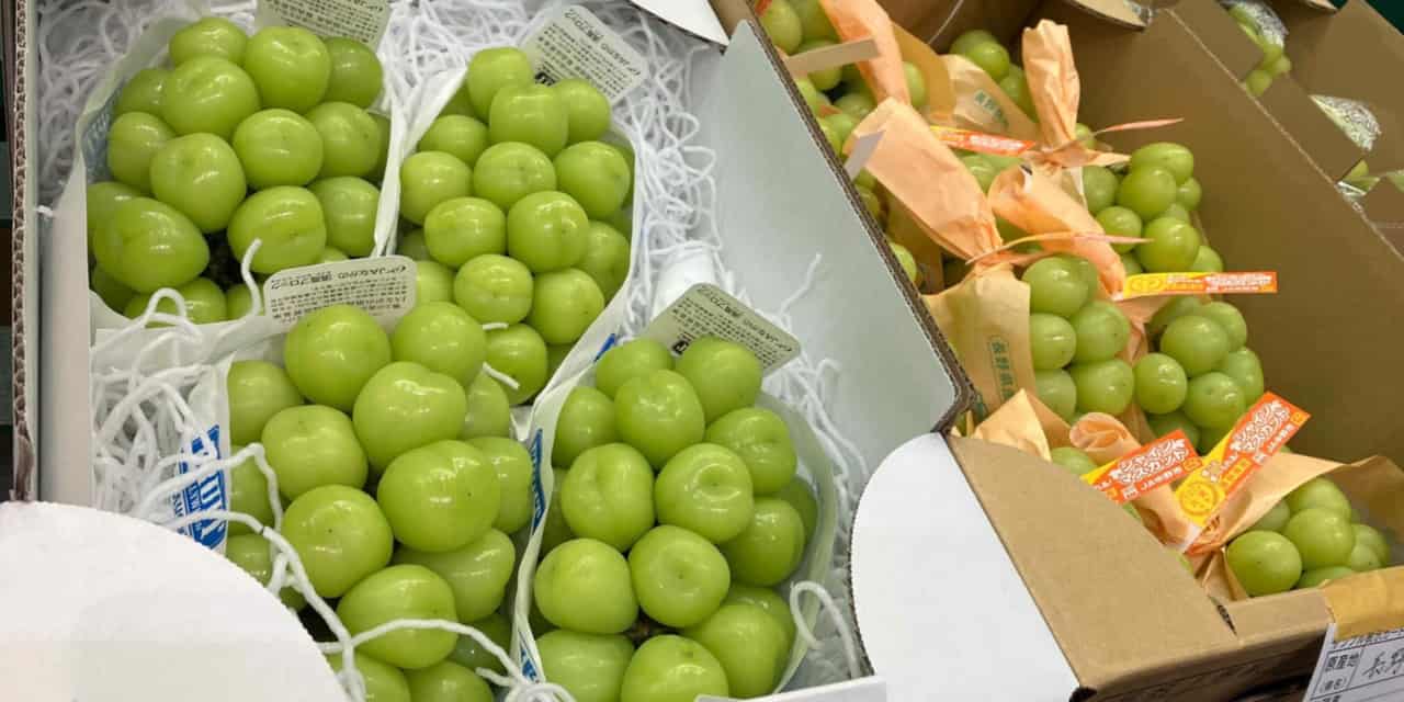 Japan strengthens legal protections for prized fruit and vegetable varieties