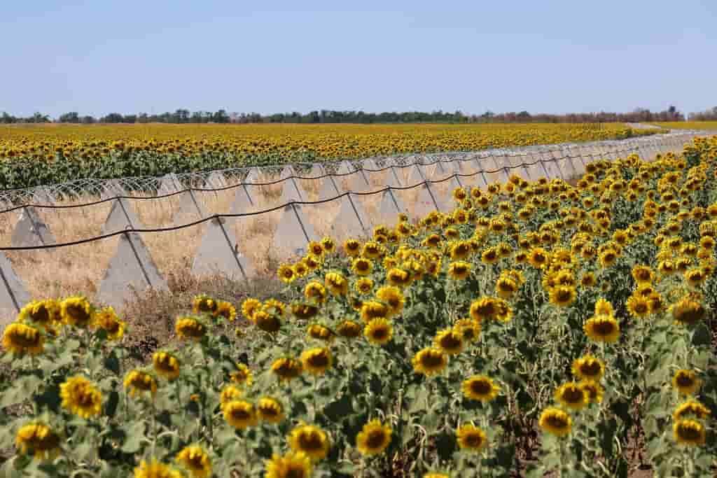 France, Poland, Spain back Ukraine EU accession talks, downplay farm concerns