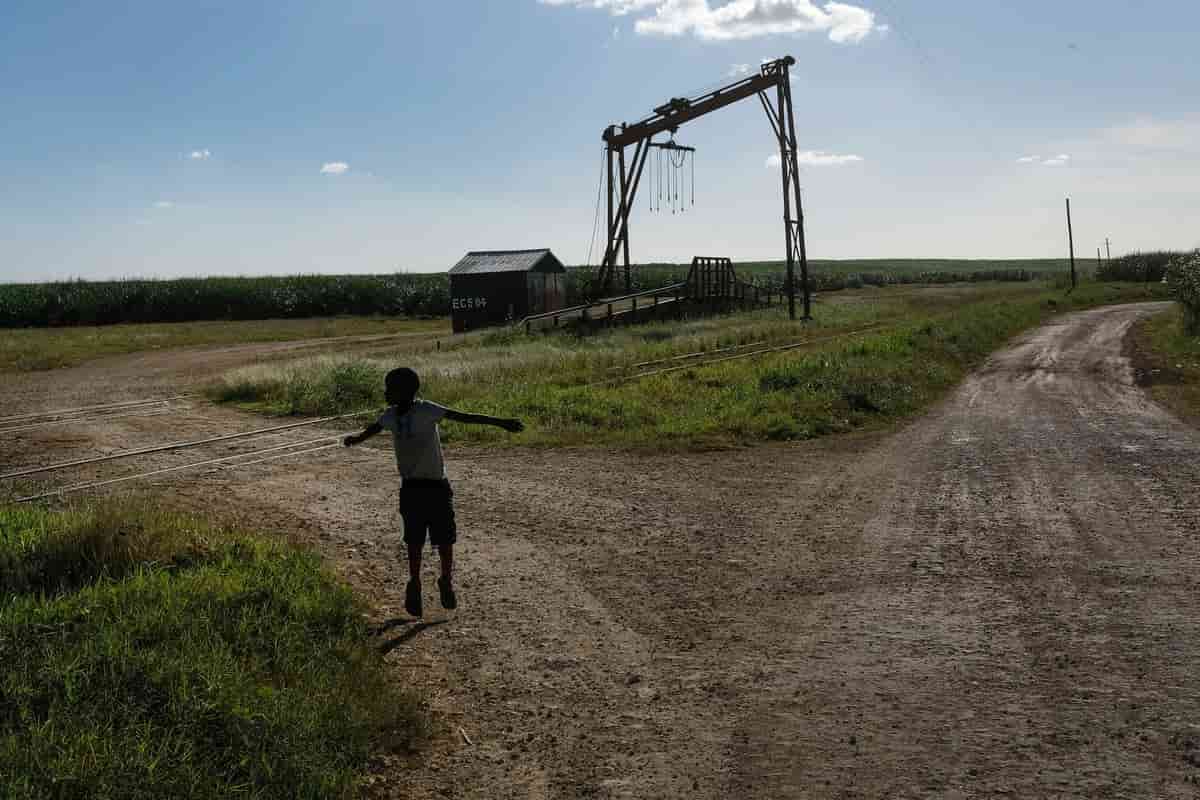 Dominican Sugar Company Linked to Trump Accused of Ongoing Labor Abuses