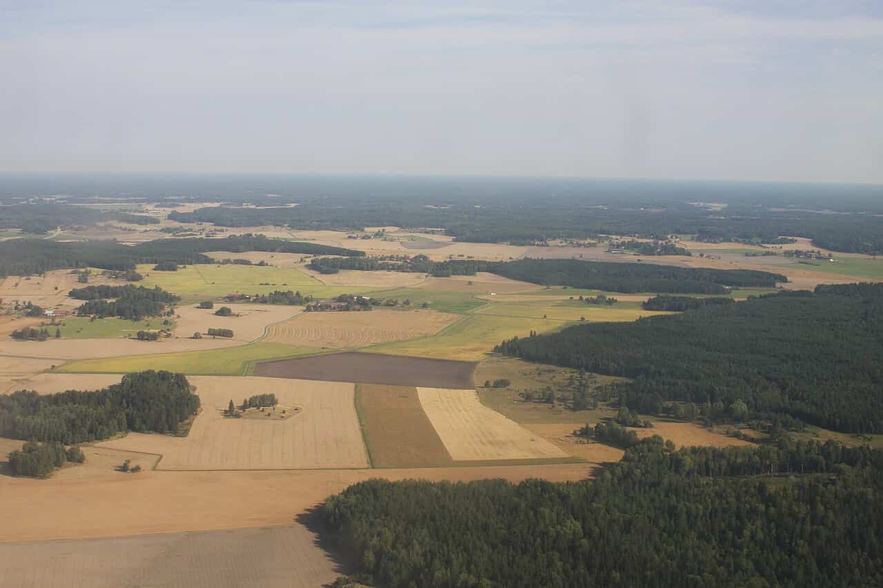 Sweden's grain output expected to decline