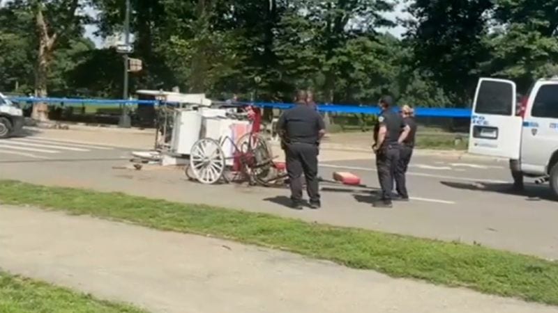 New York City to end horse-drawn carriage rides after fatal incident