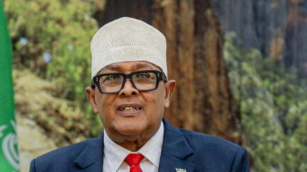 Somaliland president criticized for 'disastrous' US interview