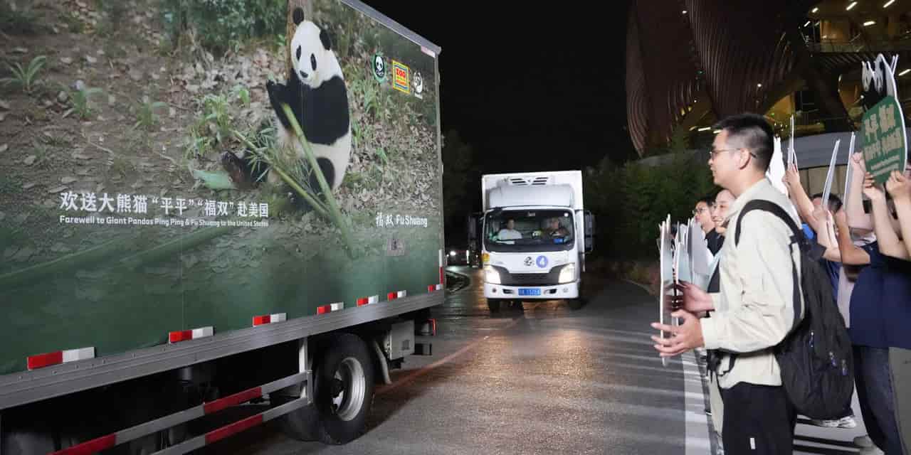 Two giant pandas depart China for US after Xi-Trump summit