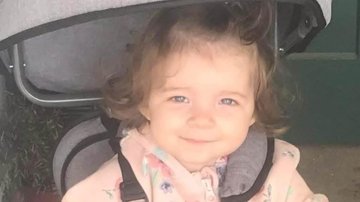 Police warrant for paedophile issued 18 months before toddler's murder