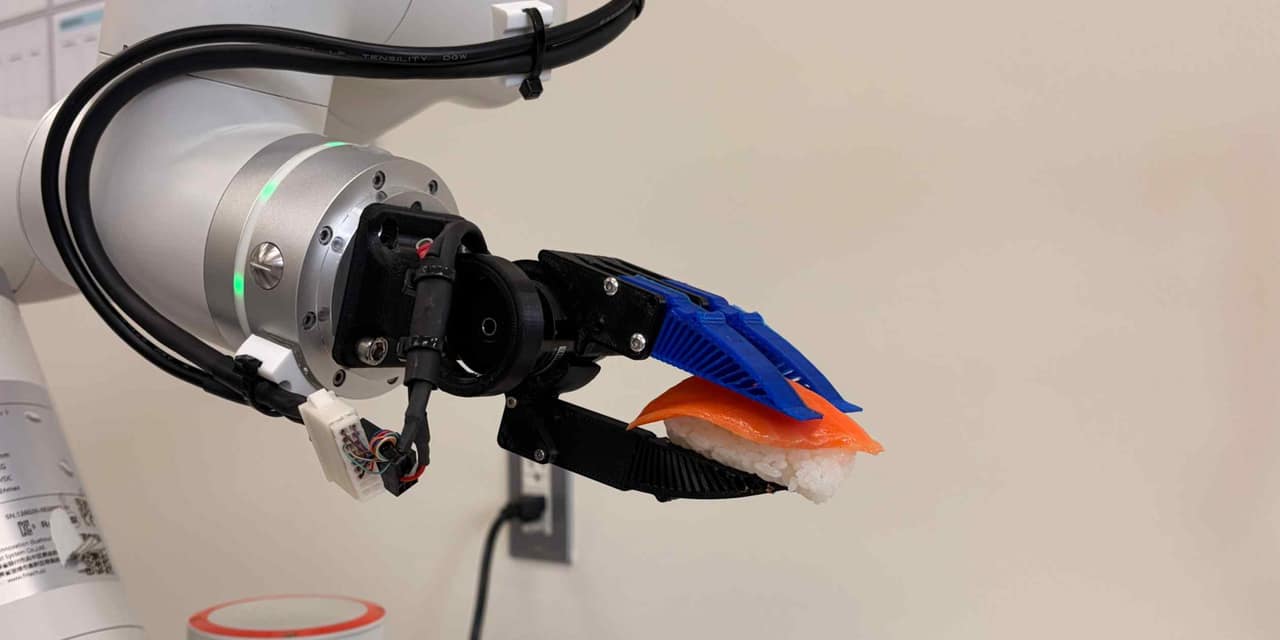 Japanese Universities Develop AI Robots for Delicate Tasks