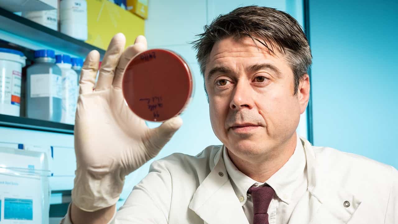 Poultry farming accelerates spread of food-poisoning bacteria, study finds