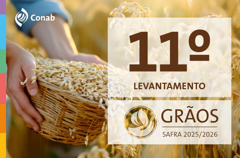 Brazil forecasts record soybean, corn crops for 2025-26