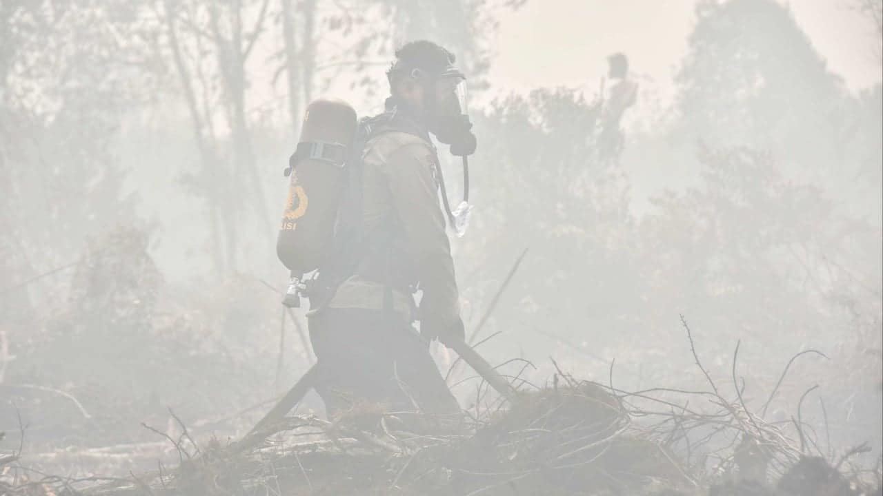 Indonesia allows Malaysian cloud seeding to combat haze