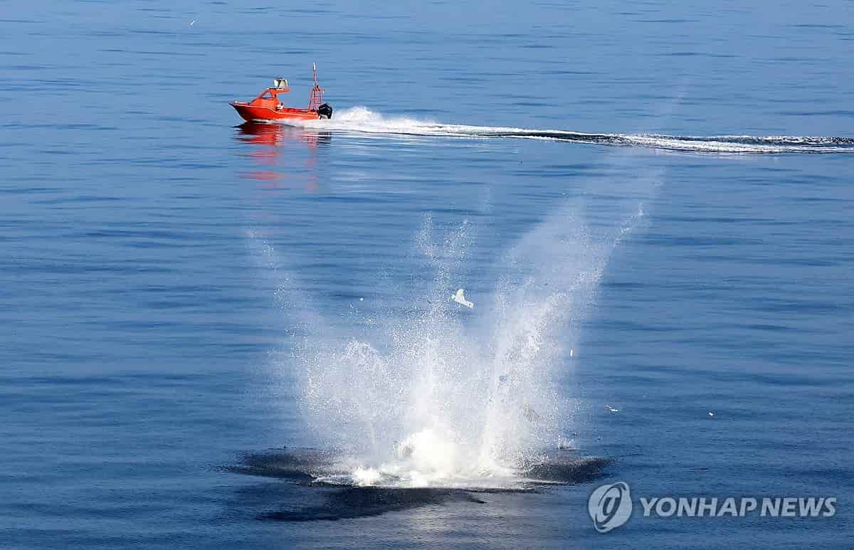 Suicide drone crashes into sea after launch defect
