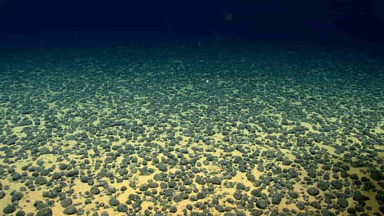 Chinese scientists discover 11,742 new viruses in deep-sea mining zone