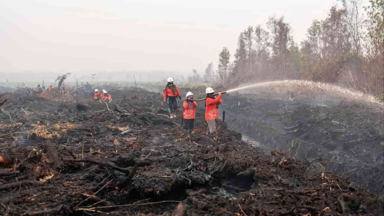 Indonesians use art and protest to highlight wildfire haze crisis