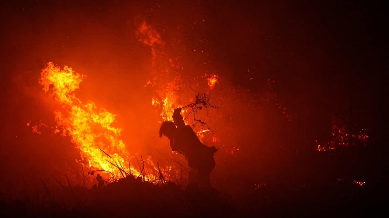 Indonesia wildfire emissions surge to world's highest