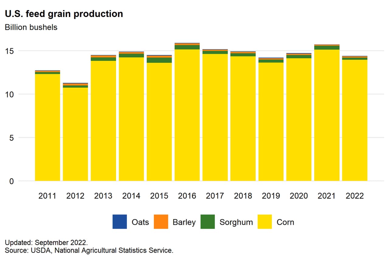 USDA report shifts US corn outlook