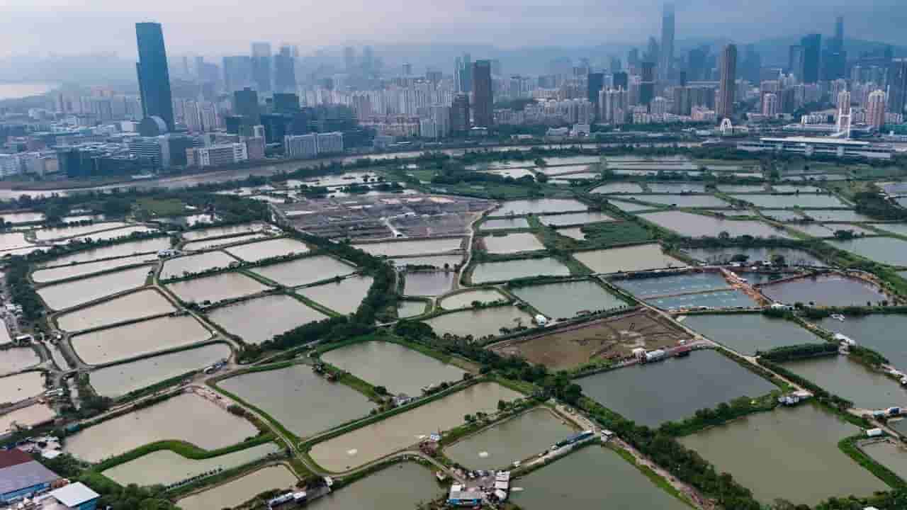 Hong Kong tech hub operator to offer affordable land for tenants