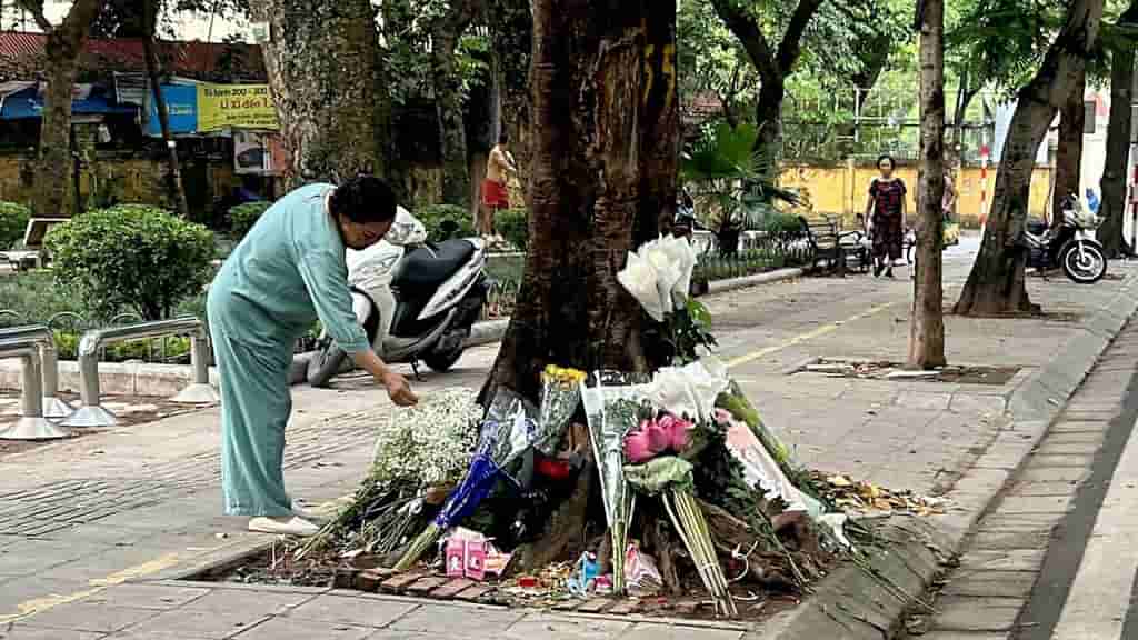 Vietnam police clear ex-politician in fatal 2025 car crash