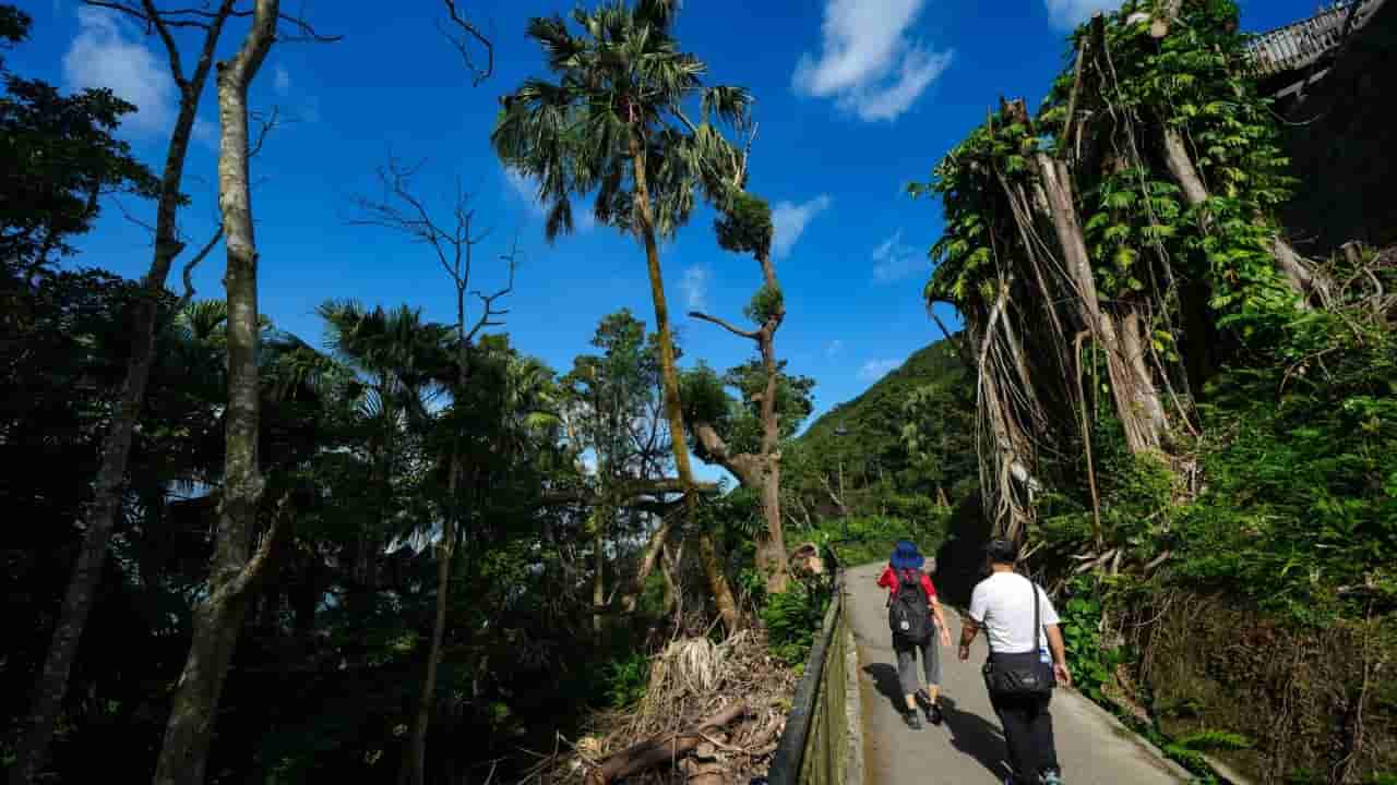 Hong Kong Peak light display faces backlash over environmental concerns
