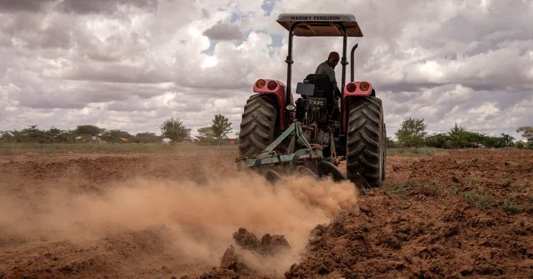 Global economy faces narrowing wiggle room amid energy shock