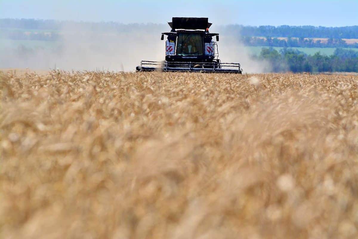 Russia restarts grain shipments via Sea of Azov after Ukrainian drone campaign