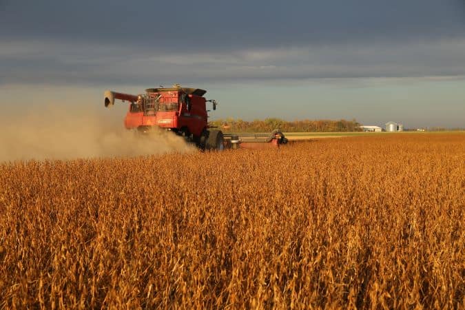 Railroads prepare for US grain harvest