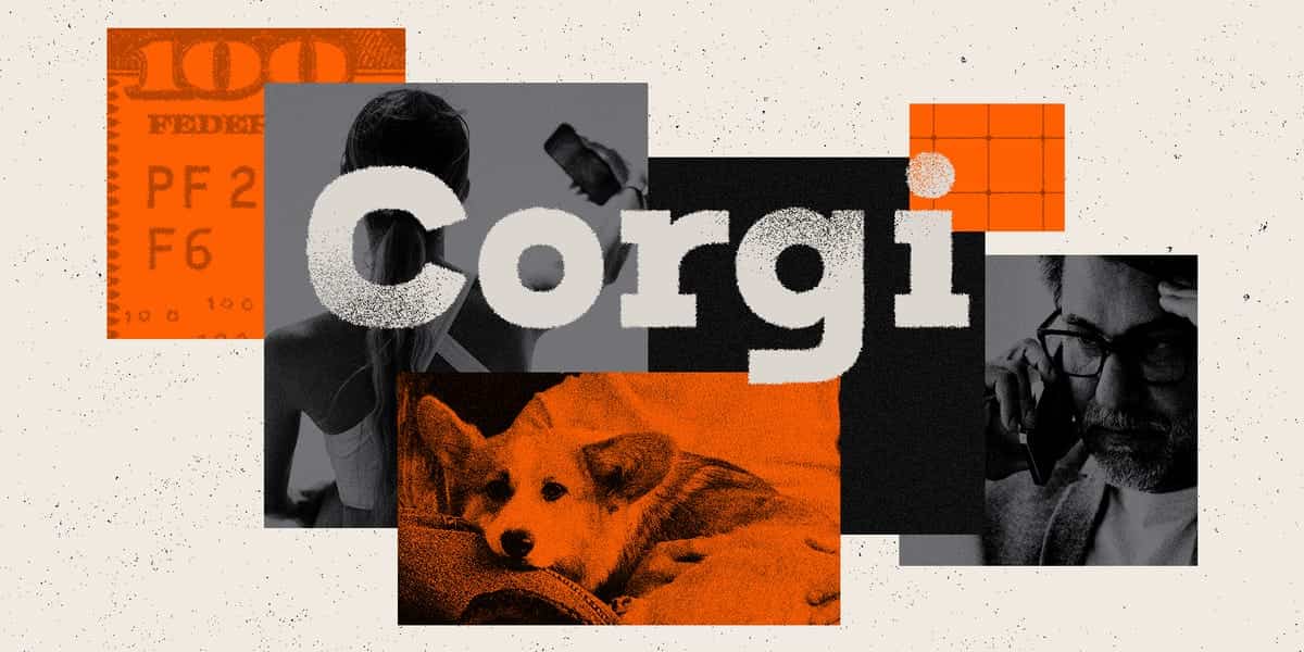 Corgi raises $5 billion valuation on $431 million funding for its insurance startup