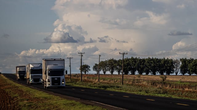 Brazil's Agricultural Sector Faces Logistical Hurdles