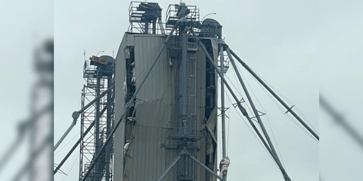 Explosion damages Iowa feed mill, operations continue