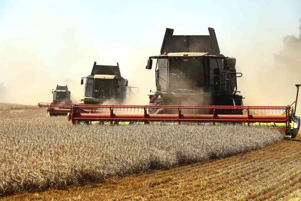 Global grain prices surge as Black Sea attacks disrupt exports