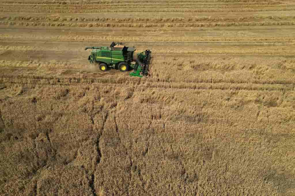 Crop Prices Hit Three-Year High as Heat, War Stoke Supply Fears