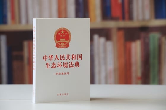 China's New Environmental Code Focuses on Corporate Remediation