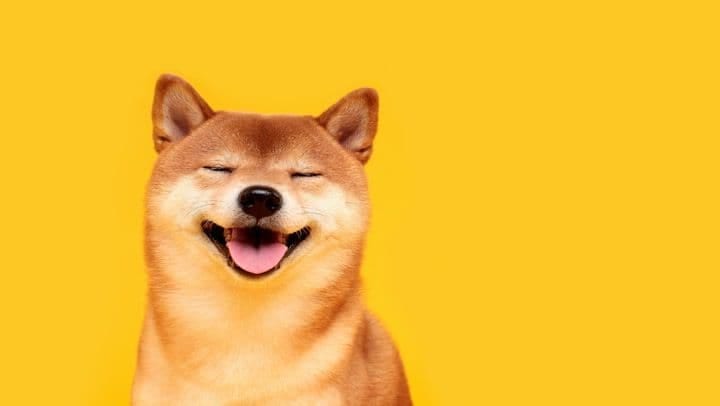 Shiba Inu Surges 36% on South Korean Trader Activity