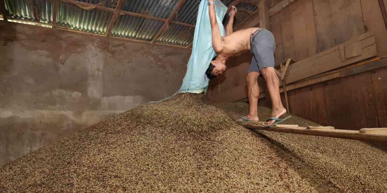 Indonesia coffee trade wilts under climate change impacts