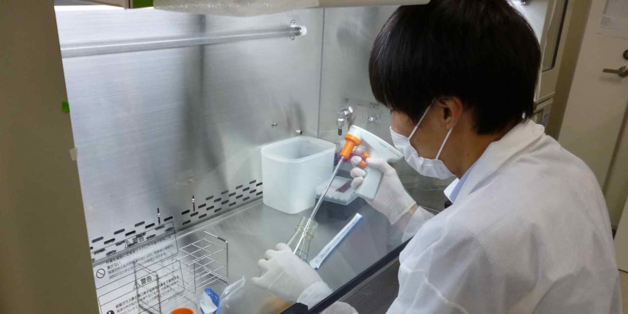 Japan approves world's first virus therapy for esophageal cancer