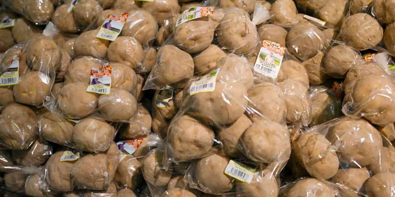Japan warns of 21 pests and diseases if US potato import ban ends