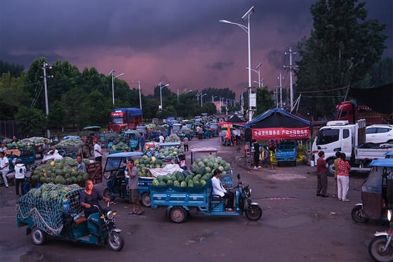 Central China Watermelon Farmers Face Market Glut