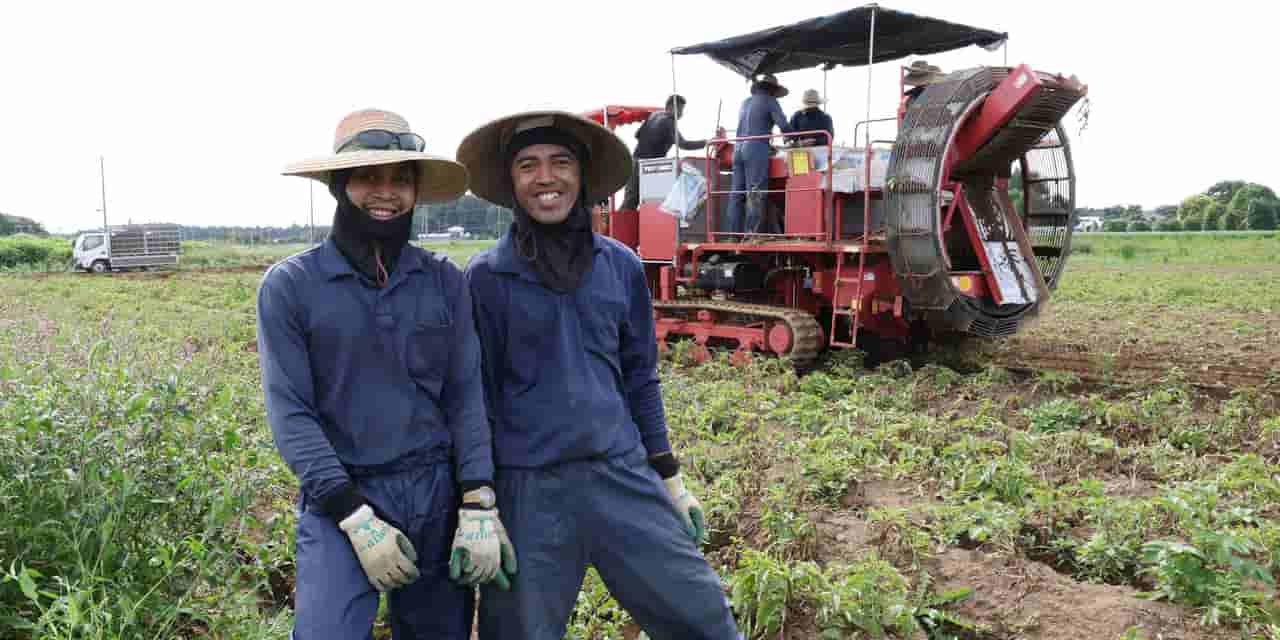 Japan emerges as top destination for Asian migrants