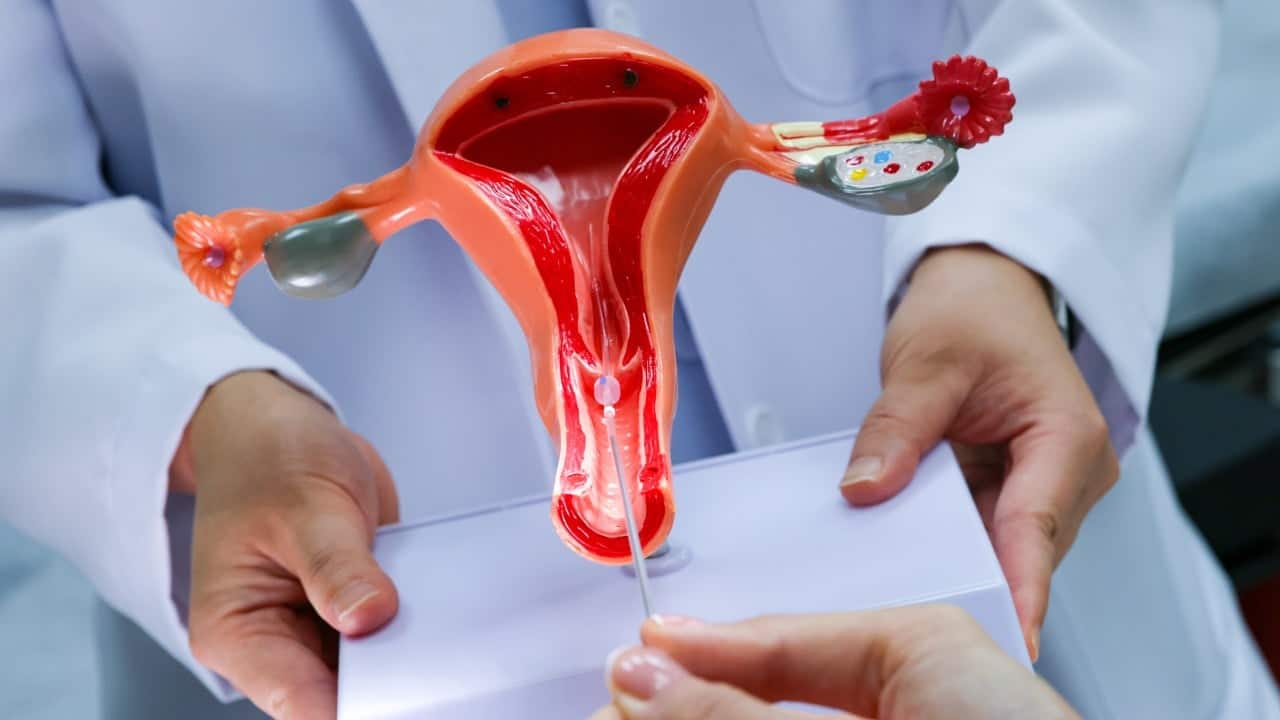 DAB urges overhaul of reproductive tech law, more embryo biopsy checks