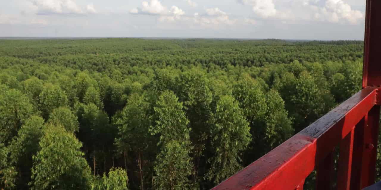 Japanese firms aid Indonesia in combating forest fires