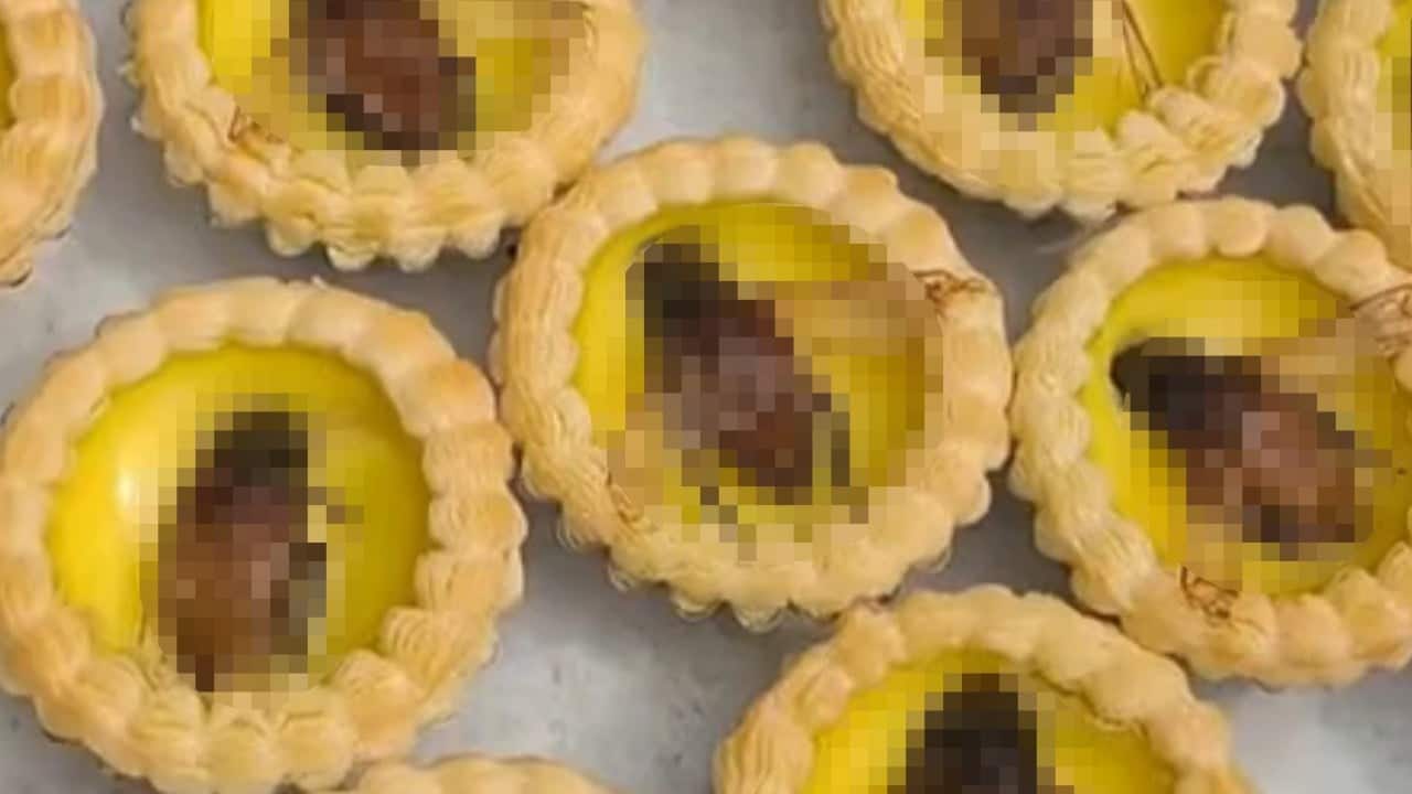 China restaurant tops egg tarts with fried water beetles resembling cockroaches