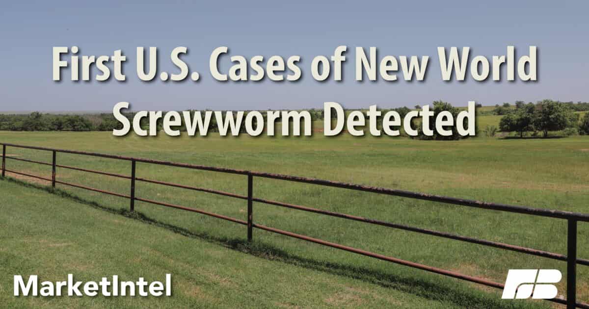 US confirms first New World screwworm detection in Texas wildlife