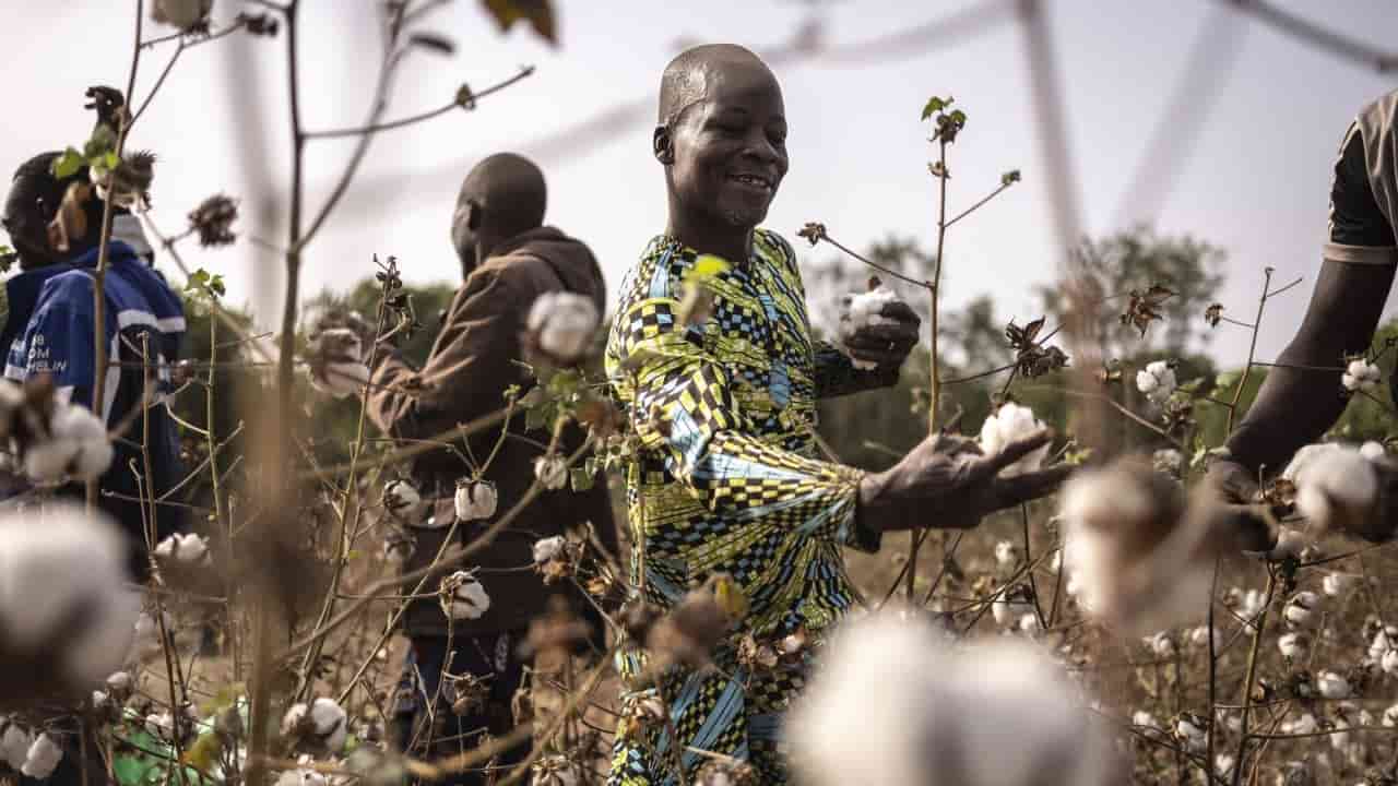 China and Africa deepen ties with focus on debt, industrialization