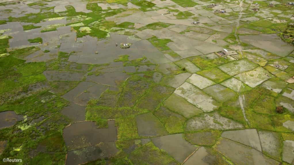 Africa faces $10-$20 billion economic hit from 'super' El Niño, AfDB climate chief warns