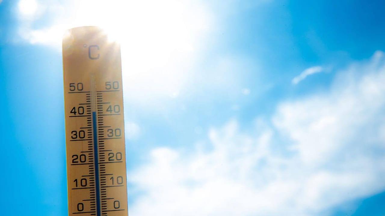 WHO warns Europe faces deadly weeks as heatwave builds