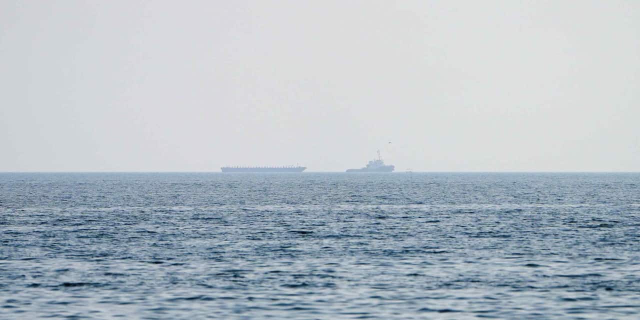 Tanker crossings in Strait of Hormuz hit 2.5-month low amid risks