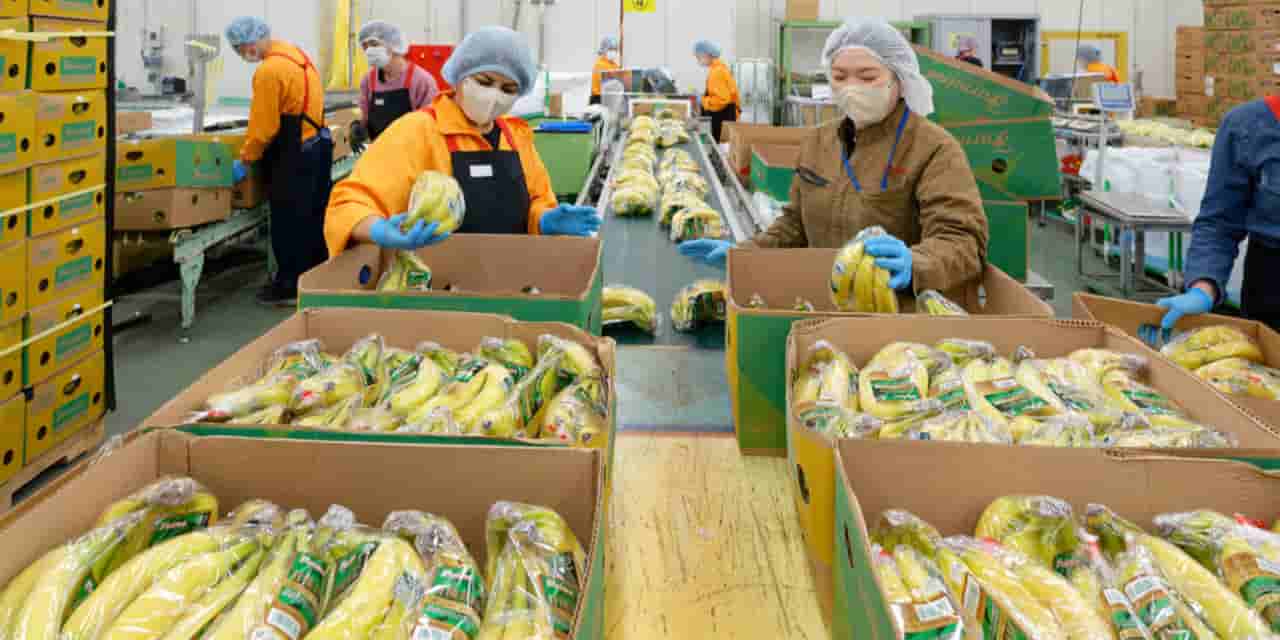 Hulic to acquire 20% stake in Farmind to build logistics network