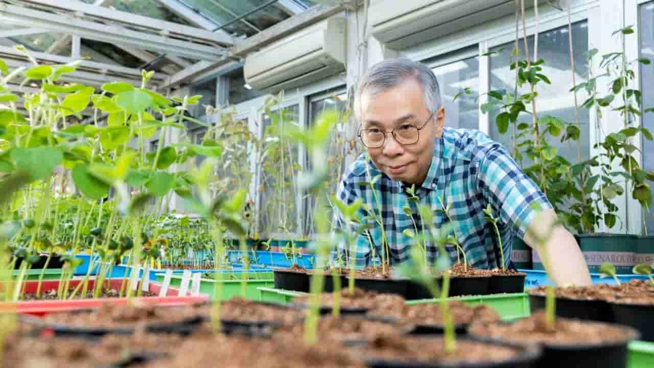 Hong Kong scientist sends soybean research to space