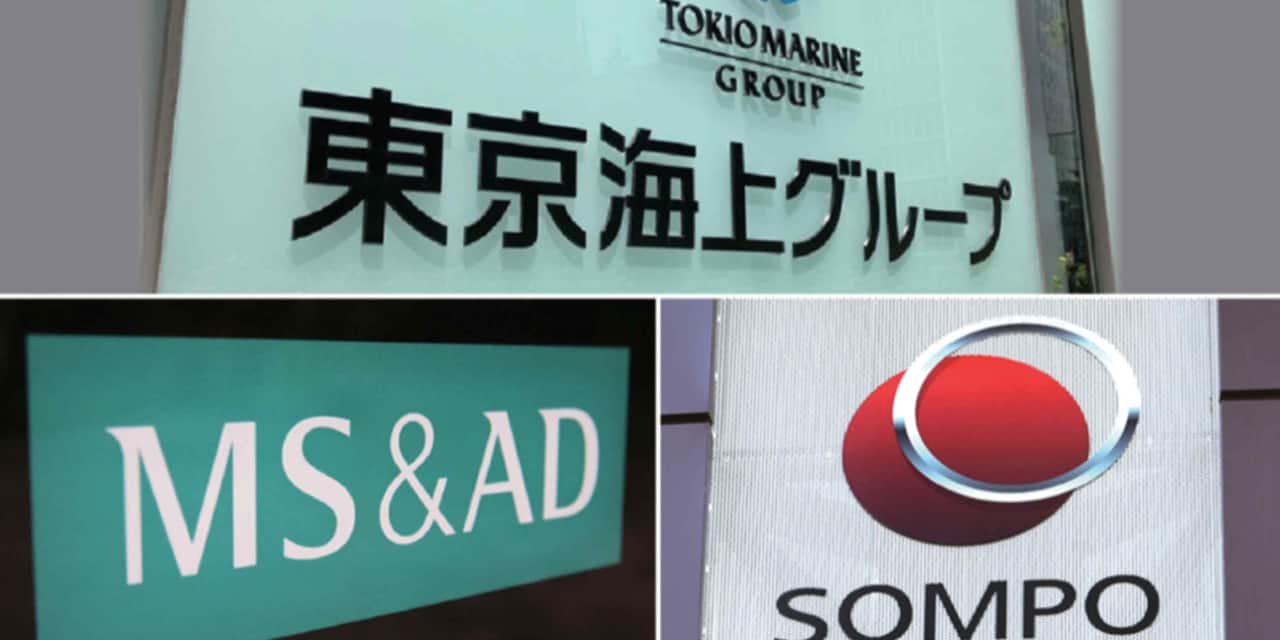 Japanese insurers court foreign investors to replace cross-shareholdings